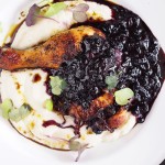Kurczak z sosem jagodowym / Chicken with blueberry sauce
